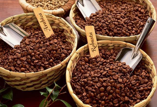 أسعار قهوة أرابيكا تواصل الارتفاع بسبب برودة الطقس في البرازيل