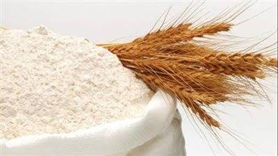 صادرات روسيا من الدقيق تقفز 38% في أول 7 أشهر من العام