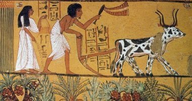 أول تعداد سكانى فى أمريكا.. هل عرف الفراعنة ظاهرة التعبئة والإحصاء؟