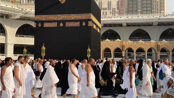 بالإنفوغراف| نجاح تنظيم برامج العمرة لما يقرب من 904 آلاف معتمر مصري
