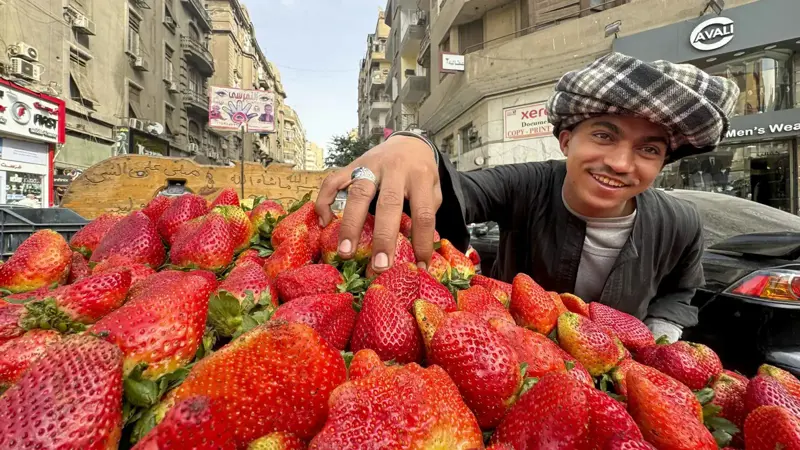 مصر تسجل صادرات غذائية أسبوعية بـ285 ألف طن