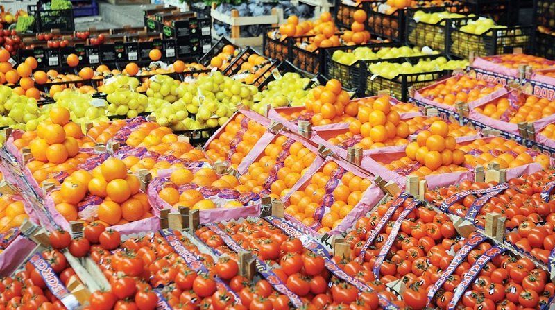 “الزراعة” تعلن خطة لتعزيز نفاذ الصادرات الزراعية المصرية للأسواق العربية والخليجية