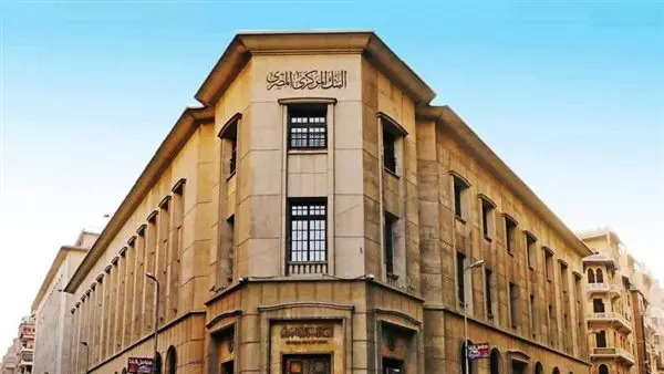 مصر تسجل مستوى قياسي لصافي أصولها الأجنبية عند 29.5 مليار دولار في يناير