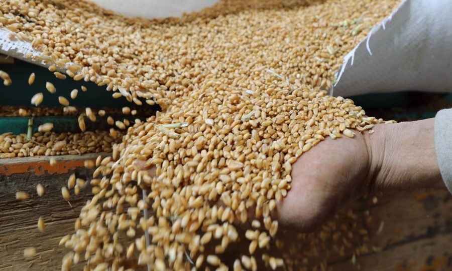 روسيا تنقل شحنة قمح إلى إيران عبر بحر قزوين لتعزيز الإمدادات